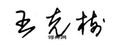 朱锡荣王克树草书个性签名怎么写