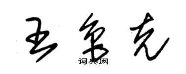 朱锡荣王鲁克草书个性签名怎么写