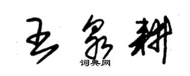 朱锡荣王泉耕草书个性签名怎么写
