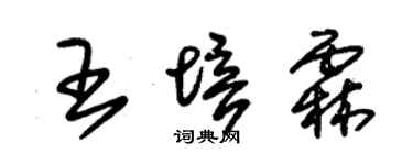 朱锡荣王培霖草书个性签名怎么写