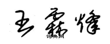 朱锡荣王霖烽草书个性签名怎么写