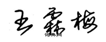 朱锡荣王霖梅草书个性签名怎么写
