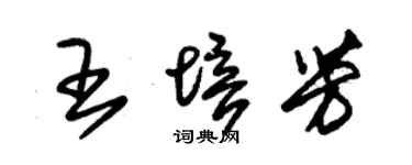 朱锡荣王培芳草书个性签名怎么写