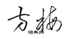 骆恒光方梅草书个性签名怎么写