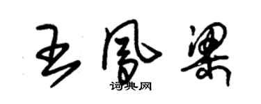 朱锡荣王凤梁草书个性签名怎么写
