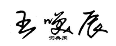 朱锡荣王笑辰草书个性签名怎么写