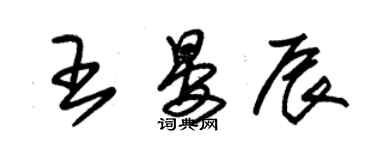 朱锡荣王晏辰草书个性签名怎么写