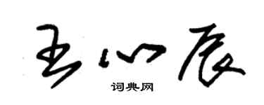 朱锡荣王心辰草书个性签名怎么写
