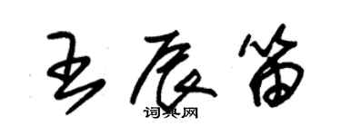 朱锡荣王辰笛草书个性签名怎么写
