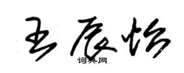 朱锡荣王辰怡草书个性签名怎么写