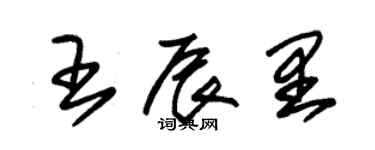 朱锡荣王辰里草书个性签名怎么写
