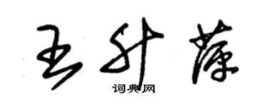 朱锡荣王升萍草书个性签名怎么写