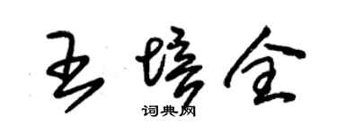 朱锡荣王培全草书个性签名怎么写