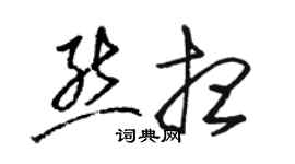 骆恒光熊想草书个性签名怎么写