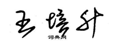 朱锡荣王培升草书个性签名怎么写