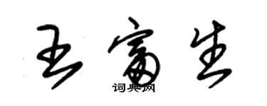 朱锡荣王富生草书个性签名怎么写
