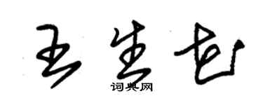 朱锡荣王生花草书个性签名怎么写