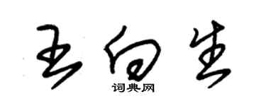 朱锡荣王向生草书个性签名怎么写