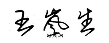朱锡荣王岚生草书个性签名怎么写