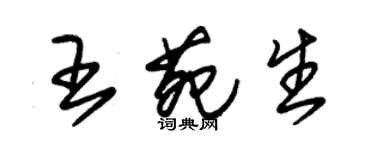朱锡荣王苑生草书个性签名怎么写