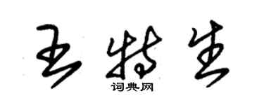 朱锡荣王特生草书个性签名怎么写