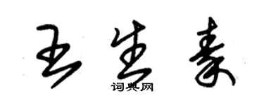 朱锡荣王生秦草书个性签名怎么写