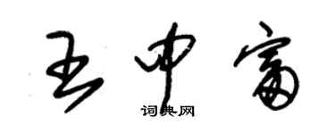 朱锡荣王中富草书个性签名怎么写