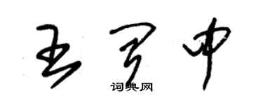 朱锡荣王闻中草书个性签名怎么写