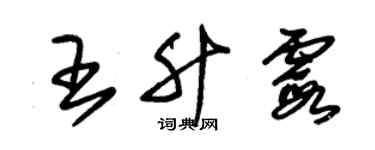 朱锡荣王升霞草书个性签名怎么写