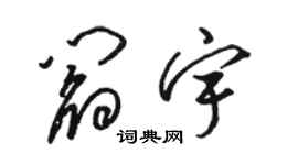 骆恒光阎宇草书个性签名怎么写