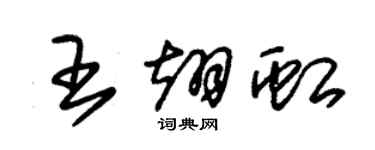 朱锡荣王翊虹草书个性签名怎么写