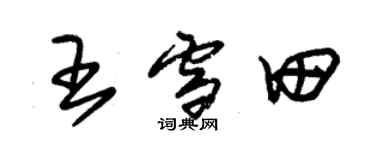 朱锡荣王雪田草书个性签名怎么写