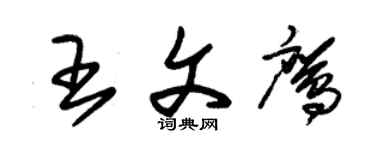 朱锡荣王文鹰草书个性签名怎么写