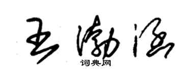 朱锡荣王渤涵草书个性签名怎么写