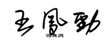 朱锡荣王凤劲草书个性签名怎么写