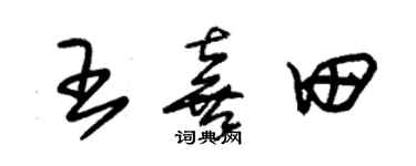 朱锡荣王喜田草书个性签名怎么写
