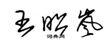 朱锡荣王昭岚草书个性签名怎么写