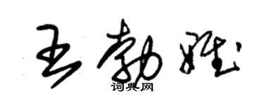 朱锡荣王勃雅草书个性签名怎么写