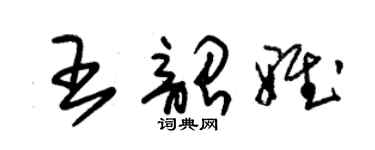朱锡荣王韶雅草书个性签名怎么写