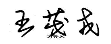 朱锡荣王茂戎草书个性签名怎么写
