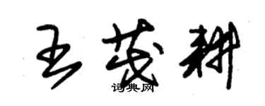 朱锡荣王茂耕草书个性签名怎么写