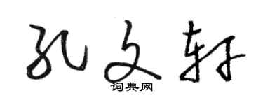骆恒光孔文轩草书个性签名怎么写