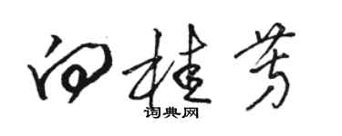 骆恒光向桂芳草书个性签名怎么写