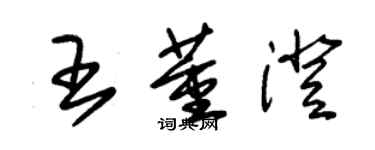 朱锡荣王董澄草书个性签名怎么写