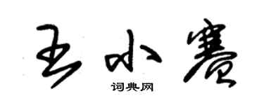 朱锡荣王小赛草书个性签名怎么写