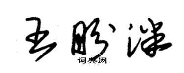 朱锡荣王盼泮草书个性签名怎么写