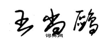 朱锡荣王尚鸥草书个性签名怎么写