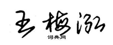 朱锡荣王梅泓草书个性签名怎么写