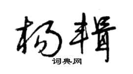 曾庆福杨辑草书个性签名怎么写
