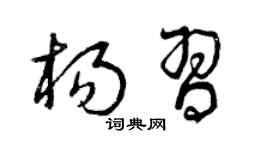曾庆福杨习草书个性签名怎么写